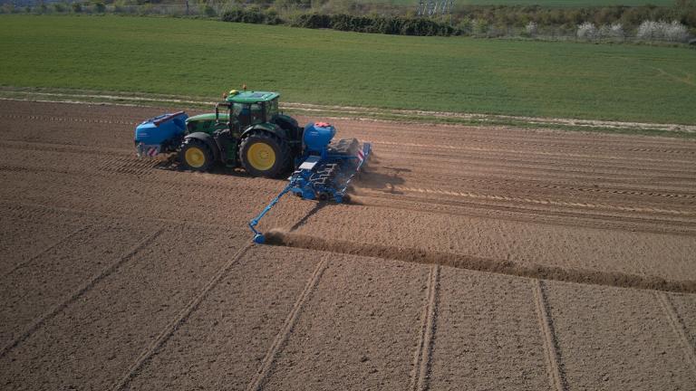 Optimaliseer je maisopbrengst met een perfect zaaibed: wacht bij nattigheid, werk vanggewas in, bemest, kies juiste grondbewerking, zorg voor vlak bed, zaai 4-5 cm diep en beheer onkruid.