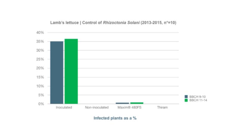 Lambs Lettuce | Control of Rhizoctonia SolaniThe efficacy against Rhizoctonia Solani was measured in 10 growth chambers and in greenhouse tests and compared with the standard Thiram. In the tests, the standard Thiram was used at a high dose of 800 ml/100 kg seeds. The effect of Maxim® 480FS is at least comparable to the high dose of Thiram. 
