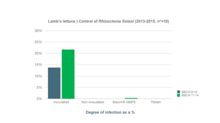 Lambs Lettuce | Control of Rhizoctonia SolaniThe efficacy against Rhizoctonia Solani was measured in 10 growth chambers and in greenhouse tests and compared with the standard Thiram. In the tests, the standard Thiram was used at a high dose of 800 ml/100 kg seeds. The effect of Maxim® 480FS is at least comparable to the high dose of Thiram. 