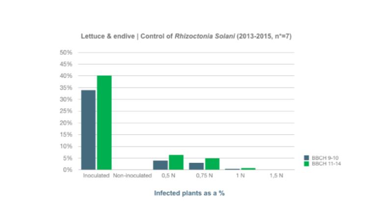Control of Rhizoctonia SolaniThe graph shows the percentage of infected plants. Maxim® 480FS is effective at the approved dose. A lower dose is much less effective and a higher dose improves the efficacy only slightly.