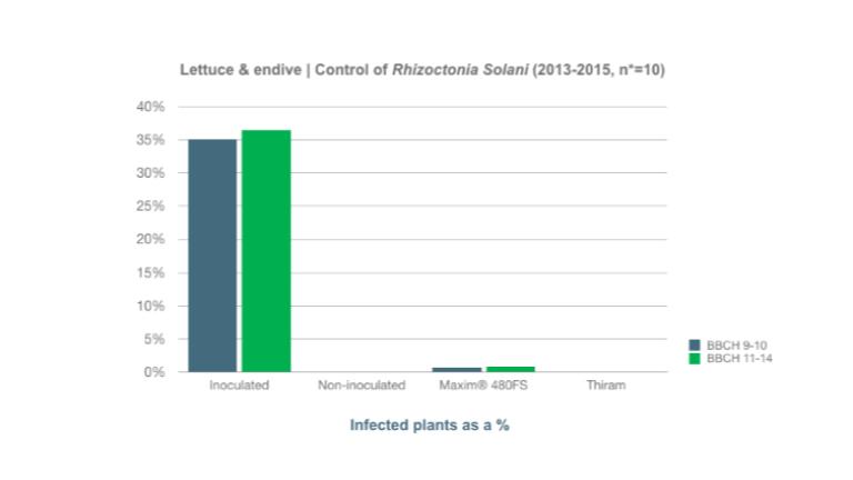 Control of Rhizoctonia SolaniThe efficacy against Rhizoctonia Solani was measured in 10 growth chambers and in greenhouse tests and compared with the standard Thiram. In the tests, the standard Thiram was used at a high dose of 800 ml/ 100 kg seeds. The effect of Maxim® 480FS is at least comparable to the high dose of Thiram. 