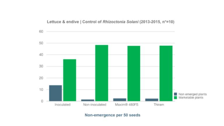 Control of Rhizoctonia SolaniThe efficacy against Rhizoctonia Solani was measured in 10 growth chambers and in greenhouse tests and compared with the standard Thiram. In the tests, the standard Thiram was used at a high dose of 800 ml/100 KG seeds. The non-emergence and number of deliverable commercial plants per 50 seeds were monitored. 