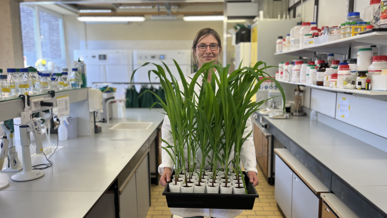 Onderzoek naar biostimulanten