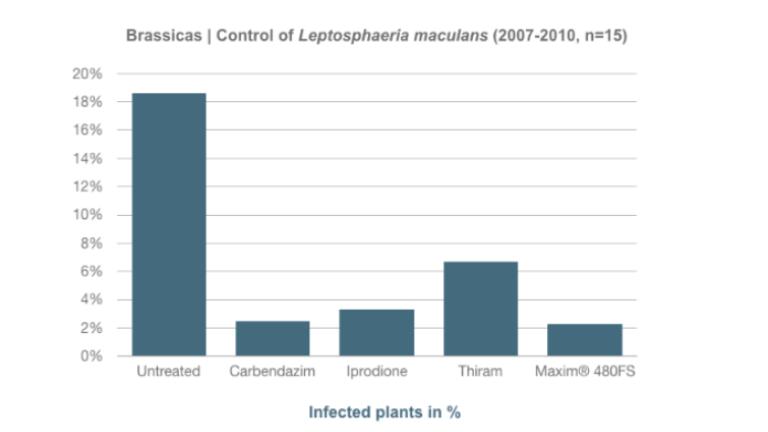 Control of Leptosphaeria maculansResearch has shown that threating brassicas with Maxim® 480FS provided better control of Alternaria and Leptosphaeria than the standard