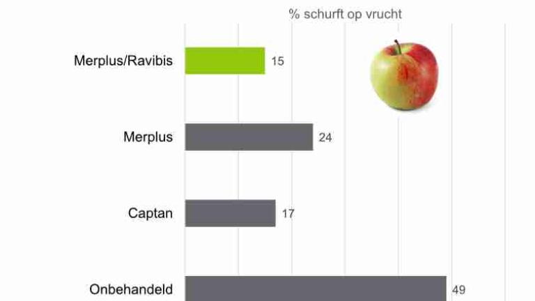 Proefresultaten BuurmalsenRAVIBIS™ vult aan in de totaal aanpak voor gezonde vruchten