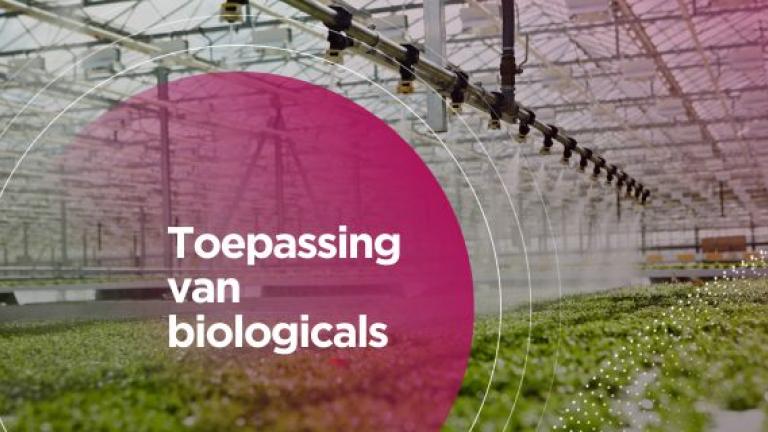 toepassing biologicals