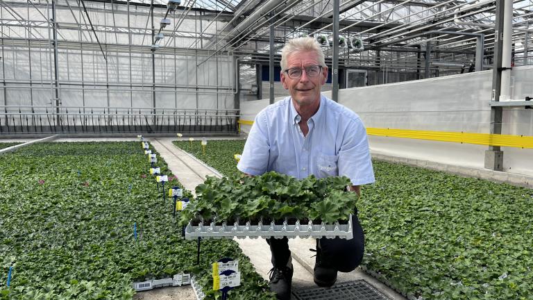 Piet in de kas met een tray jonge plantjes in veenvrije potgrond