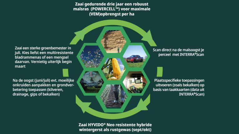 “HYVIDO® Neo hybride gerstassen  halen de meeropbrengst van de de beste HYVIDO® variëteiten, en voegen daar BYDV resistentie aan toe