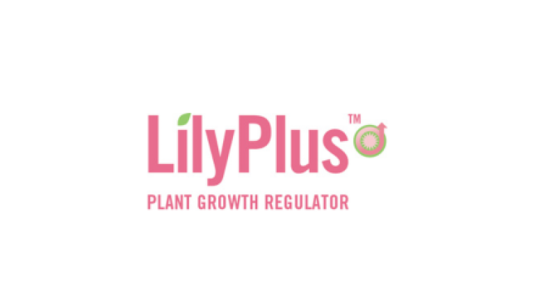 570x320_sierteelt_producten_Lilly plus.png