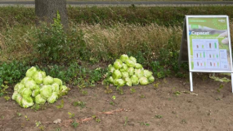 Stapels groene appels op de grond naast informatiebord in een park