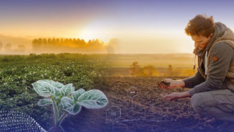 Syngenta op Aardappeldemodag Stand 37