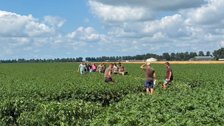 Groep mensen in groen veld onder blauwe lucht met wolken