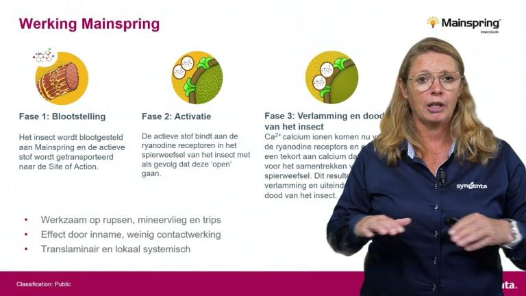 Productvideo Mainspring
