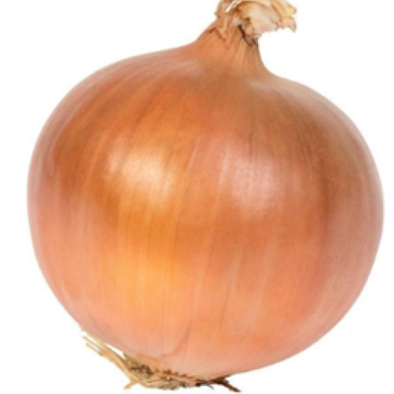uien