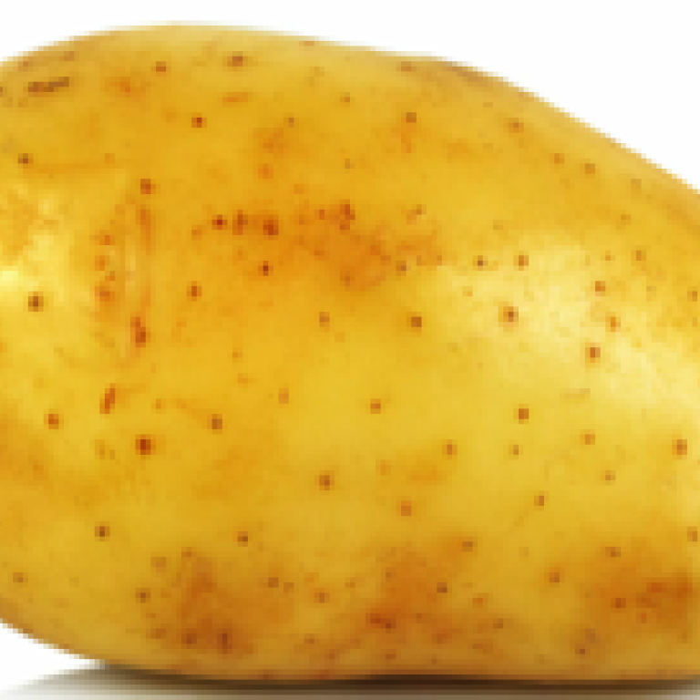 Aardappel