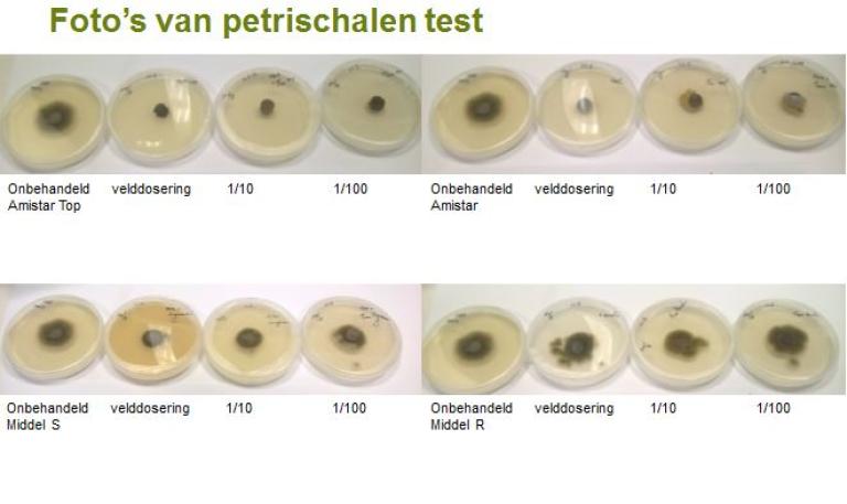 Foto’s van petrischalen test