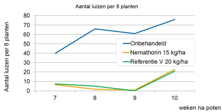 Nemathorin biedt uitstekende nevenwerking op bladluis