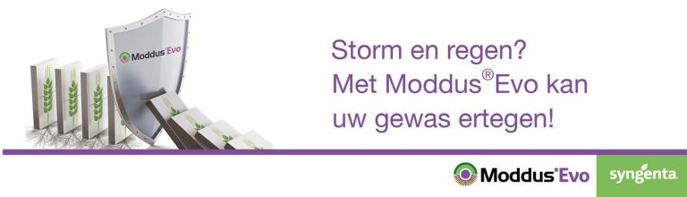 Storm en regen met Moddus Evo kan uw gewas ertegen!