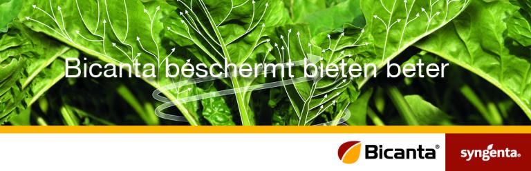 Bicanta de beste bescherming voor schimmelziekten in suikerbieten