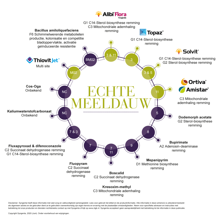 Expert Center Echte Meeldauw