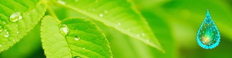 Expert Center Blog 22