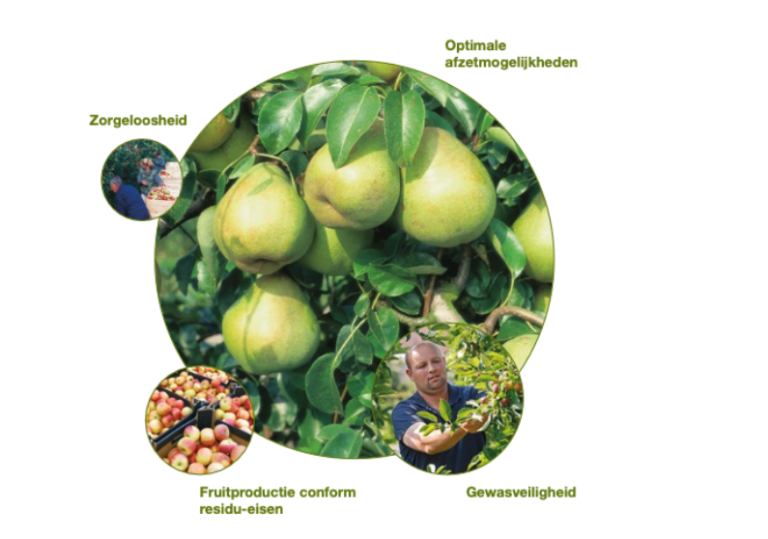 Fruit Expert Centrum Stewardship