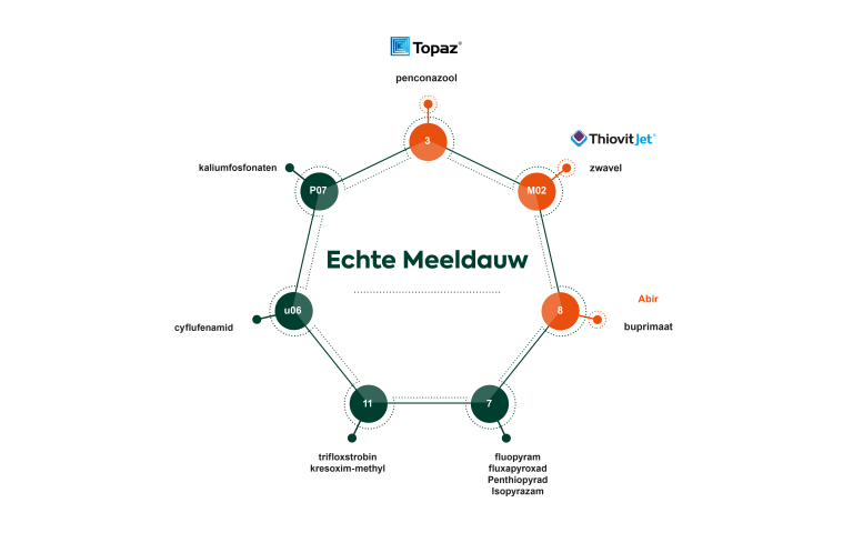Fruit Expert Centrum Resistentiemanagemen Echte Meeldauw