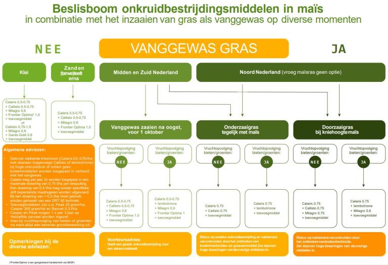 Onkruidbestrijding in maïs