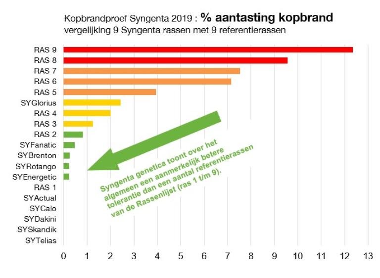 Aantasting kopbrand grafiek . Syngentarassen zijn doorgaans in hoge mate tolerant tegen kopbrand