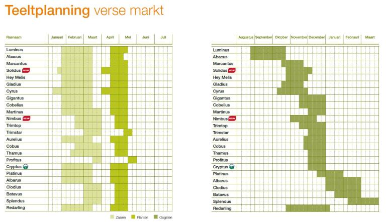 Teeltplanning verse markt 