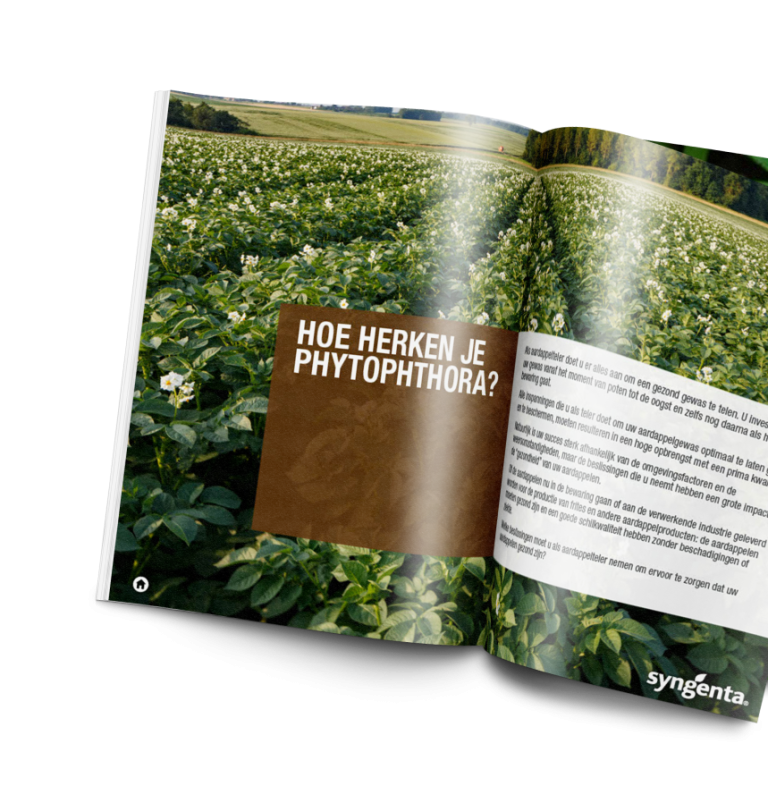 Brochure voor gratis download met informatie over de bestrijding van Phytophthora in de vroege loefgroeifase van het aardappelgewas.