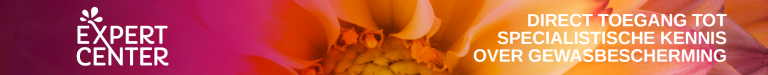 Expert Center NL Banner
