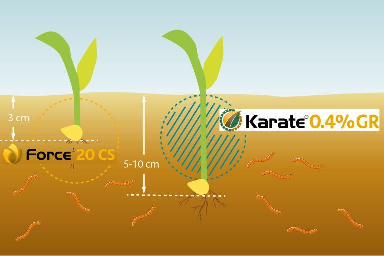 Werking Karate 0.4GR en Force CS