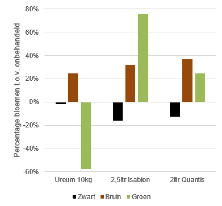 . Afgelopen jaar heeft een proef bij de CAF weer bewezen dat het vertroetelen van het gewas met Isabion voor stressmomenten werkt. In een gewas dat 3 dagen voor de nachtvorst is behandeld met Isabion zagen we bijna 80% meer groene knoppen dan in het gewas (Conference) dat niet was behandeld.