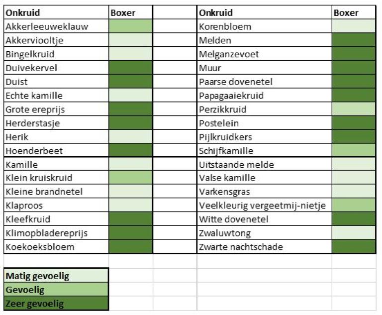 Onkruiden_Boxer