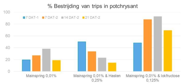 Bestrijding van Trips in potchrysant