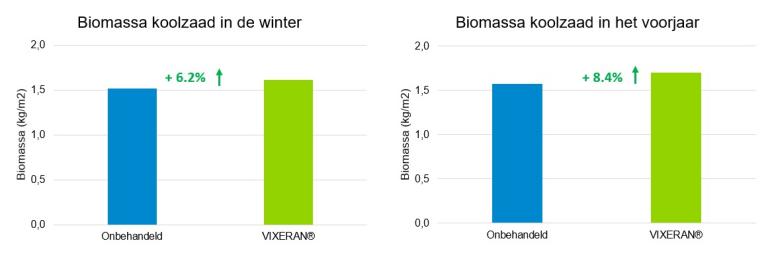 Vixeran in koolzaad