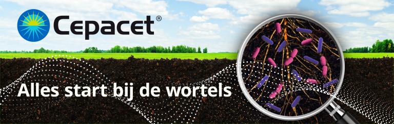 KV CEPACET