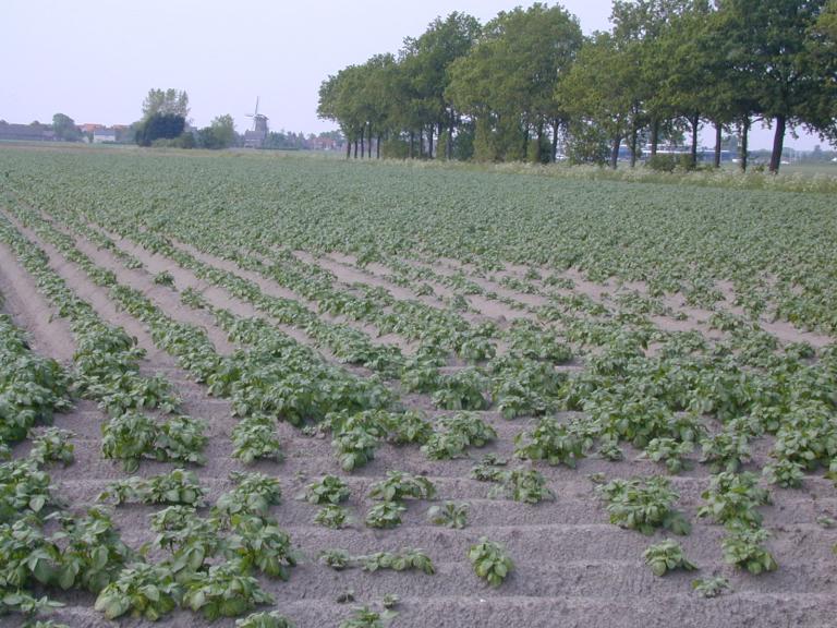 Valplek door aaltjes