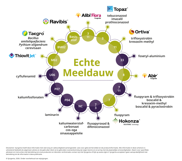 resistentieschema echte meeldauw