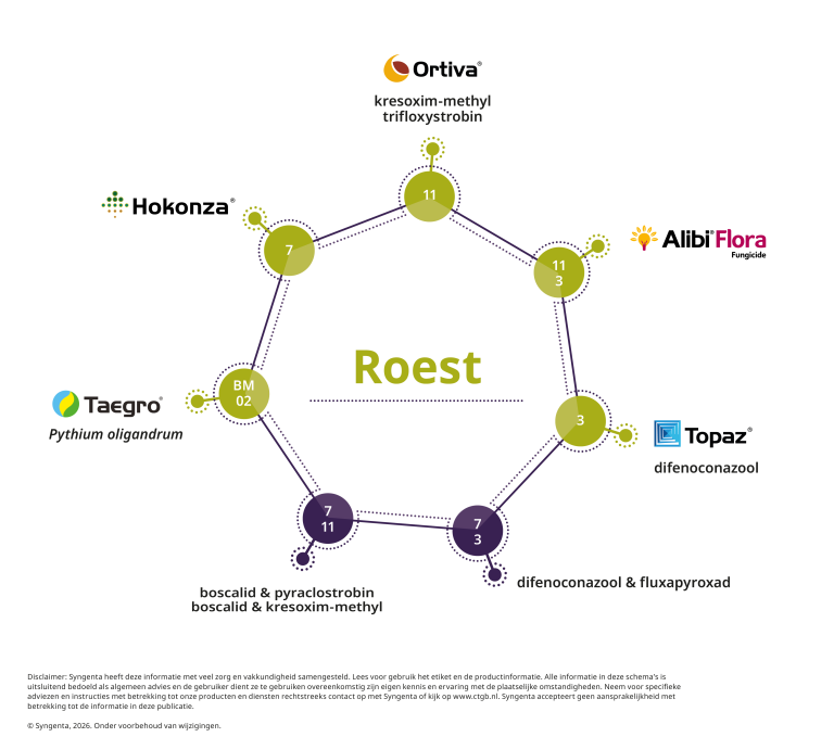 Resistentieschema Roest