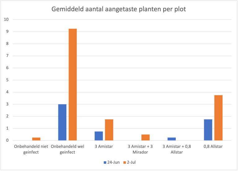 Gemiddeld aantal planten met Rhizoctonia op het veld