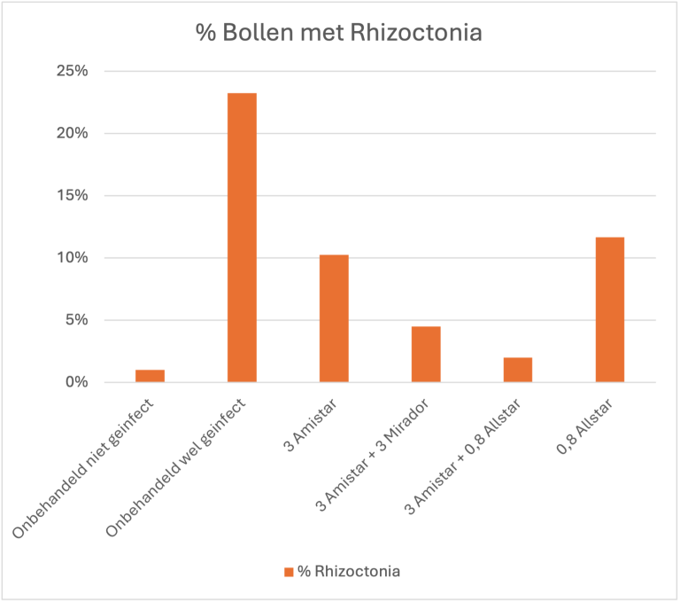 % Bollen met Rhizoctonia