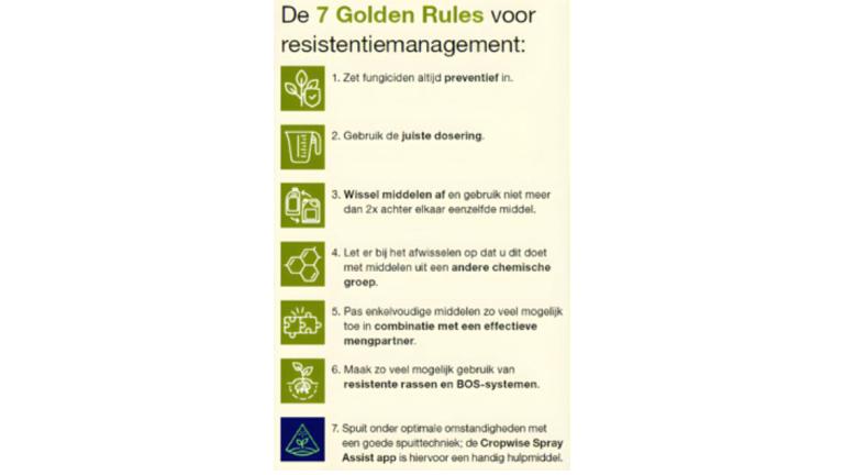 7 golden rules