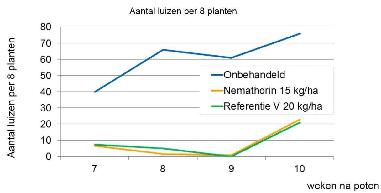 Nemathorin biedt uitstekende nevenwerking op bladluis