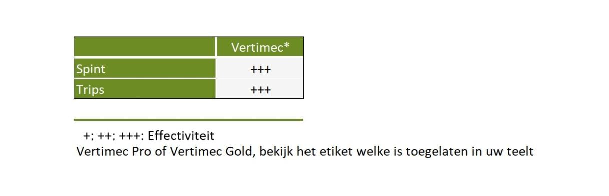 Insecten aardbei