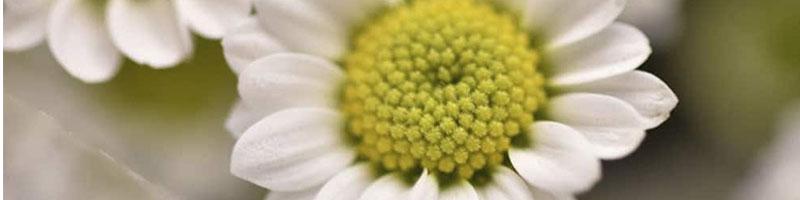 Expert Center Blog 1