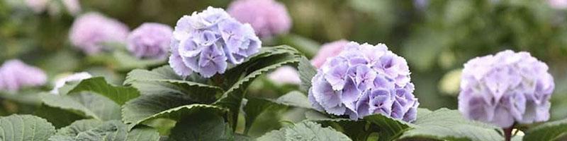 Expert Center Blog 5