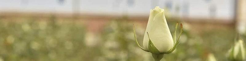 Expert Center Blog 6