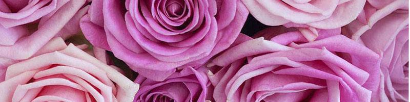 Expert Center Blog 36